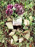 image of grave number 961077